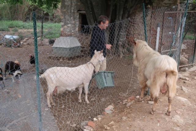 Bed and Breakfast Mas D'En Roca Fourques  Exterior foto